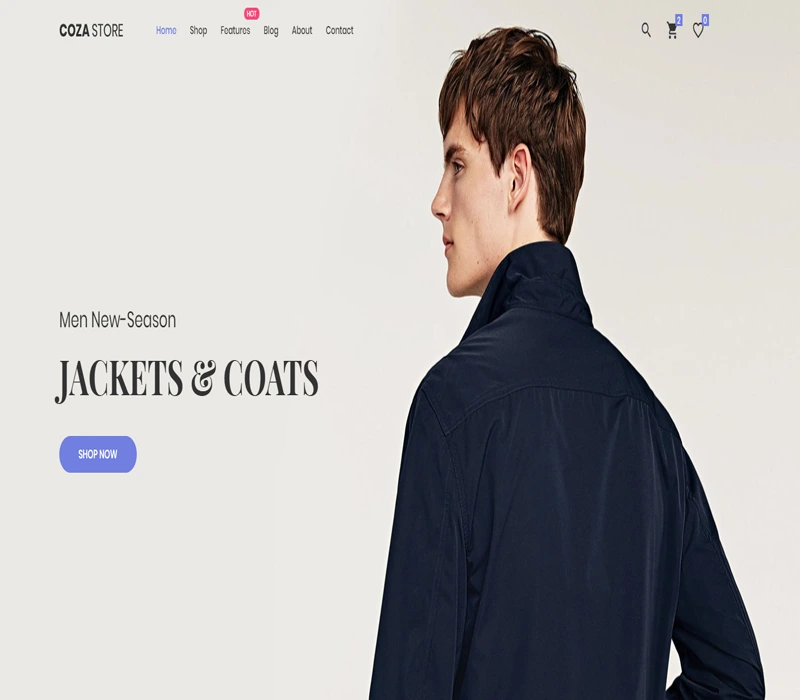 cozastore website template